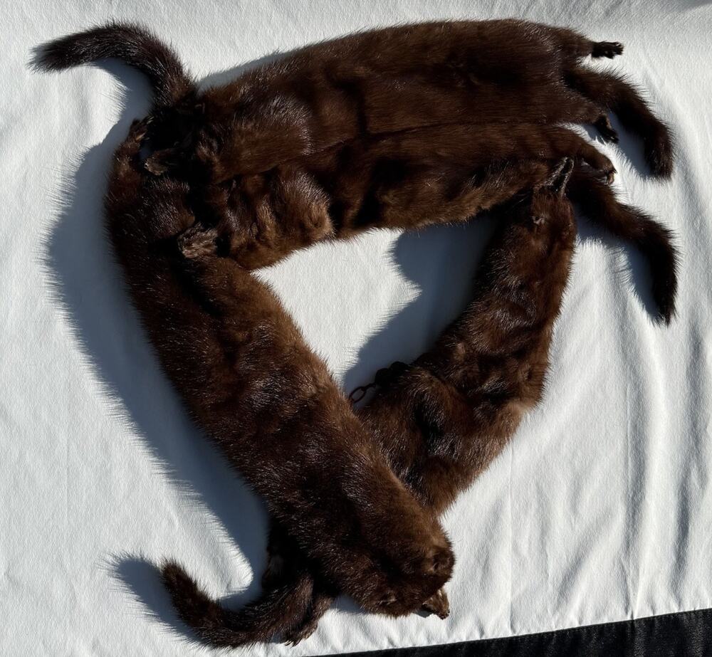 Vintage 4 Mink Fur Stole Pelts Scarfs Heads Full Body Taxidermy 1940s 1950s